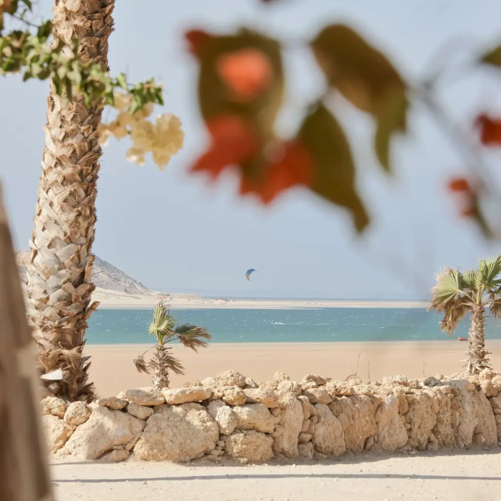 All_Ride_School_Dakhla_Camp_2